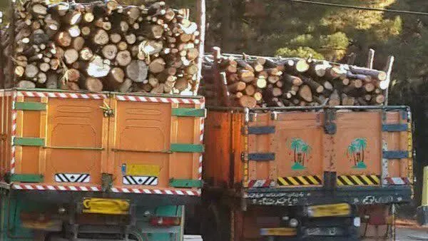 کشف ۳ تُن چوب قاچاق در شوش
