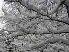 اندازه‌گیری ۵۰ میلی‌متری آب حاصل از ذوب برف در همدان