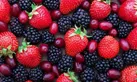 توت‌ها چه فوایدی برای سلامت بدن دارند؟