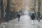 ورود سامانه بارشی به کشور