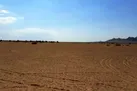 بمب‌های خاموش در اطراف تهران |  فراگیری بیابان‌زایی در کشور