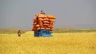 خروج کاه و کلش را از استان ممنوع کرد
