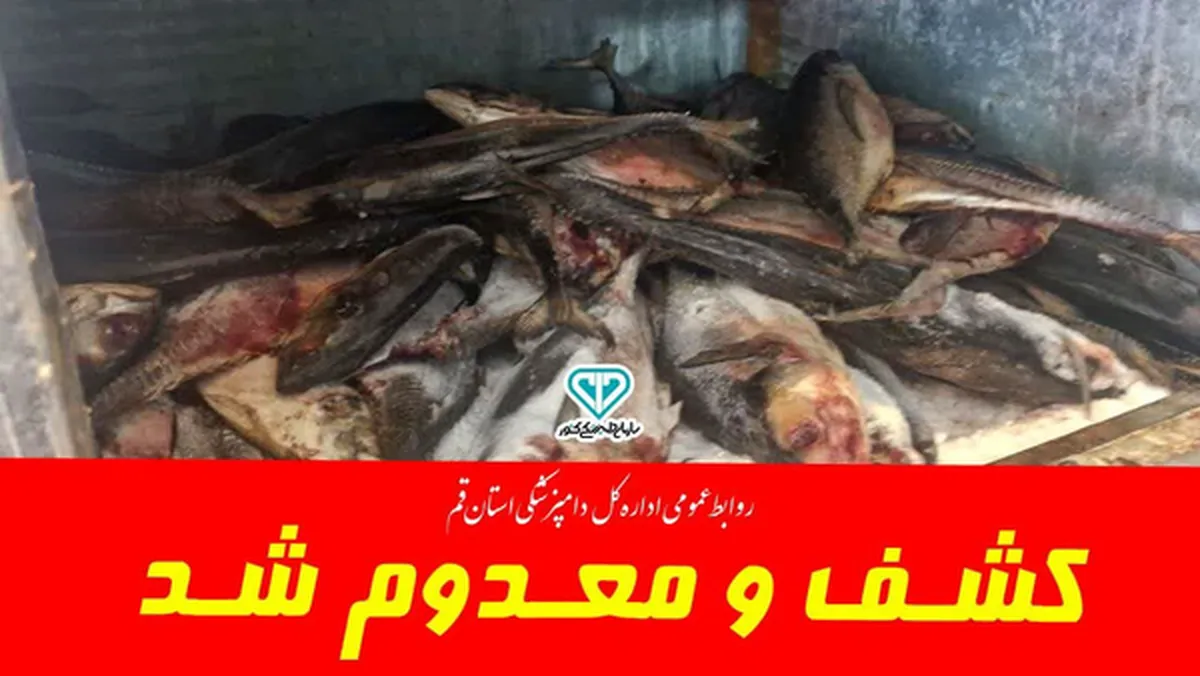 معدوم شدن ۴۳۰ کیلوگرم ماهی فاسد
