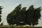 وزش باد تا سرعت ۹۰ کیلومتر در تهران و هشت استان دیگر / بارش باران و برف تا پنجشنبه