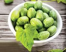 ابوجهلی که خاصیت دارد!