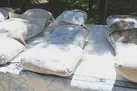 دستگیری باند وارد کننده مواد مخدر به زندان