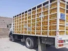 توقیف ۵ تن مرغ زنده خارج از شبکه توزیع در ایلام