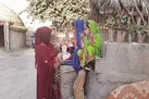 گام‌های‌تازه رسانه‌ملی برای سینما