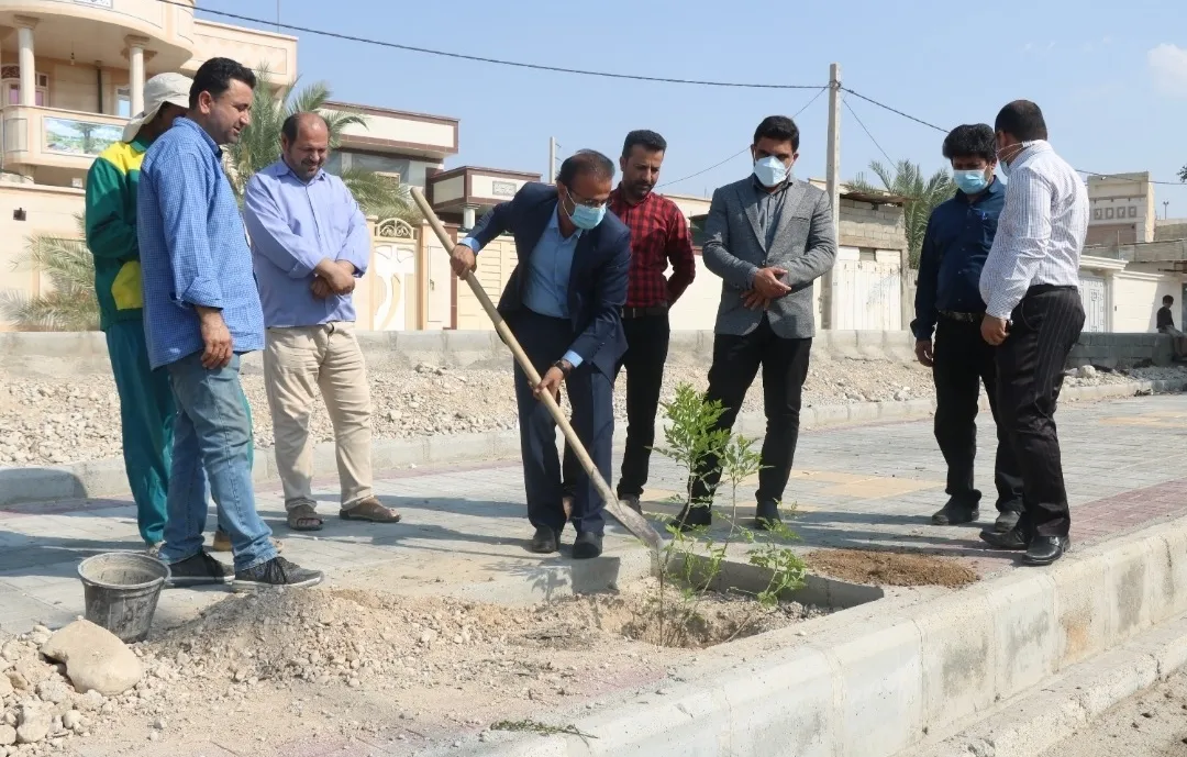 12 هزار نهال درخت و گل توسط شهرداری برازجان کشت شد
