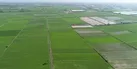 تثبیت ۷۲۰ هزار هکتار از اراضی کشاورزی استان همدان