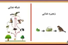 برنامه مجله دامپزشکی روی موج رادیو