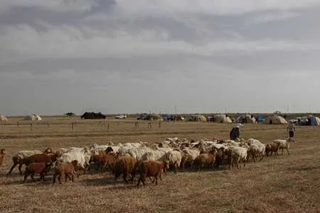 تبعات زیست‌ محیطی کوچ بی‌ موقع