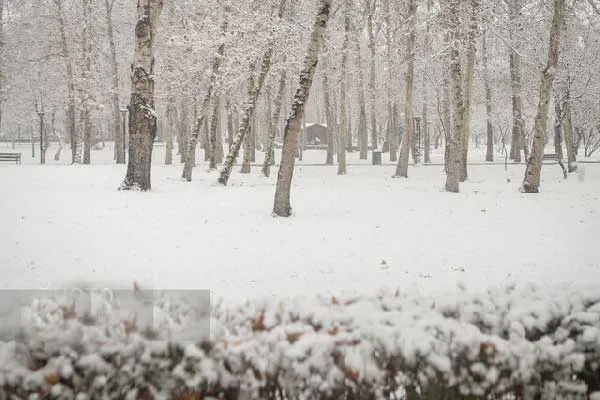 بارش برف و باران در ۱۰ استان