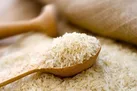 برنج ارزان می شود