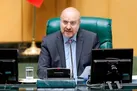 رئیس مجلس: مسئولیت ارزی کشور و قیمت سکه برعهده بانک مرکزی است
