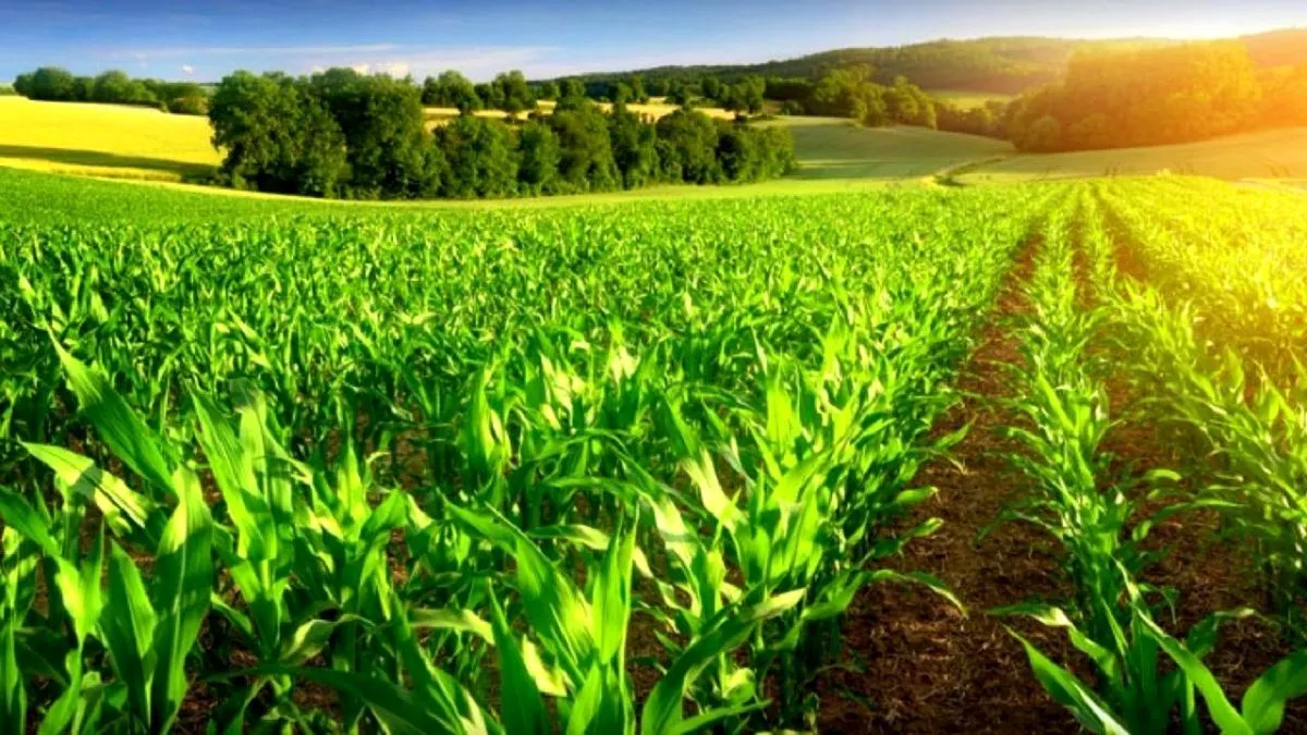 اجرای سرشماری عمومی کشاورزی سال 1403 استان درآبان‌ماه