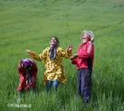 جایزه بهترین فیلم جشنواره سیبریاداک روسیه به فیلم‌ساز چهارمحال و بختیاری رسید