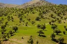 سفر مجازی از جاذبه‌های گردشگری ایلام در نوروز 1400