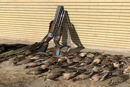 کشف ۱۲۷۱ مورد تخلف صید و شکار در استان تهران طی سال ۹۹