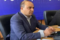پرداخت ۷۰ درصد تسهیلات بانک توسعه تعاون به تعاونی‌های کرمان