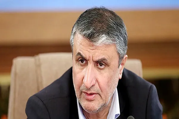 سازمان انرژی اتمی برخلاف رویه‌های مقرر بین‌المللی کاری انجام نمی‌دهد