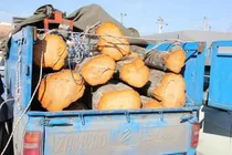 کشف بیش از 2 تن چوب قاچاق در آوج