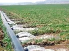 اجرای طرح تحویل حجمی ضرورتی اجتناب ناپذیر برای برون رفت از بحران آب در دشت های شرق استان یزد