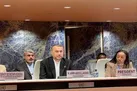 آژانس رویکرد سیاسی را کنار بگذارد | به راه حل فنی نزدیکیم