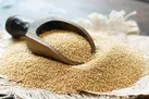 گیاهی که 3 برابر شیر کلسیم دارد