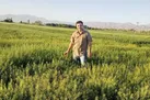 با روغن کاملینا سالم زندگی کن