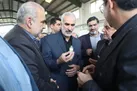 افزایش سه برابری تولید گندم در هکتار در مازندران با بهره مندی از دانش و فناوری