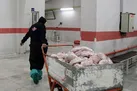 ۸۰۰ کانتینر مرغ منجمد از بندرعباس ترخیص می‌شوند