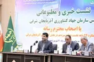 افزایش ۸۰ درصدی خرید گندم در آذربایجان شرقی