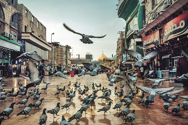 باید زبان جدیدی اختراع کرد