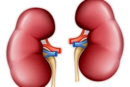 نارسایی کلیه در بیماران دیابتی چگونه درمان می‌شود؟
