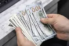 افزایش قیمت دلار | شوک صرافی‌ها به قیمت دلار