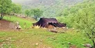 تولید ۱۲۰ نوع محصول در بین عشایر استان ایلام