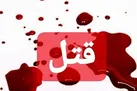 قاتلان فراری، باند سرقت تشکیل دادند