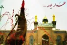 حضرت ابوالفضل العباس (ع) دارای بصیرت دینی و استواری در باور بود