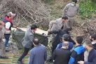 پلنگ سرگردان قائمشهر زنده‌گیری شد (+فیلم)