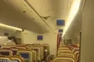 یک خفاش باعث فرود اضطراری هواپیما شد