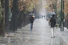 تداوم بارندگی در اغلب استان‌ها | کاهش دما تا ۷ درجه در جنوب کشور
