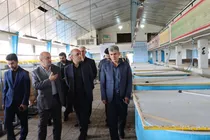 نجات ذخایر خزر در گرو مدیریت صید و توسعه مراکز تکثیر است