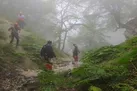 خطر گرمازدگی در کمین جنگل‌ نوردان