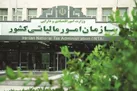 مهلت ارسال اظهارنامه مالیاتی تا پایان مرداد تمدید شد