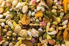 کشف ۷ میلیارد تومانی خشکبار احتکار شده در خیابان مولوی