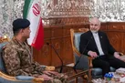 ایران مصمم به برقراری صلح در منطقه است