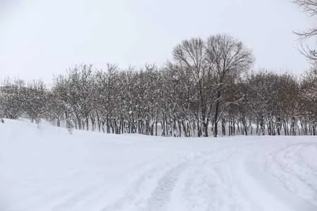 بارش برف و باران و کاهش دما / از سفرهای برون‌شهری خودداری کنید
