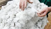 ریسندگی برای چرخاندن چرخ زندگی