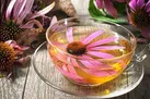 آشنایی با هفت آنتی‌ بیوتیک طبیعی